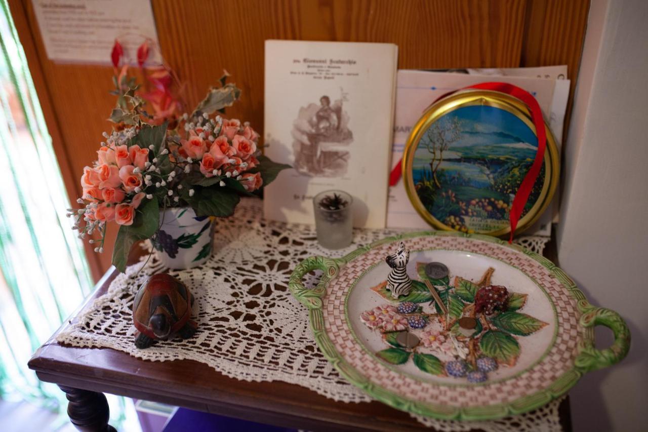 B&B Villa Il Noce Picinisco 外观 照片