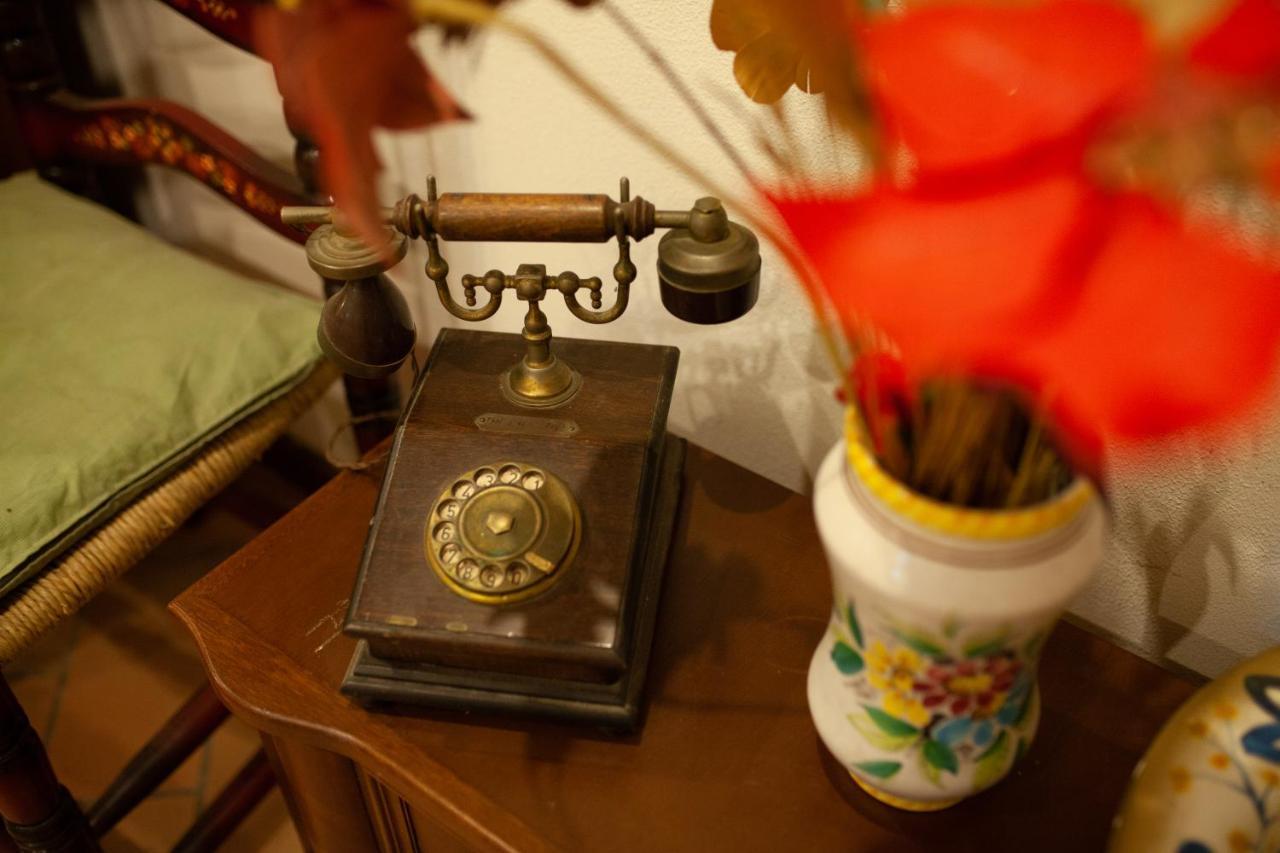 B&B Villa Il Noce Picinisco 外观 照片